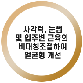 사각턱, 눈썹 및 입주변 근육의 비대칭
조절하여
얼굴형 개선

