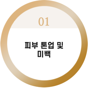 피부 톤업
및 미백



