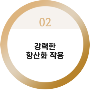 강력한 항산화 작용


