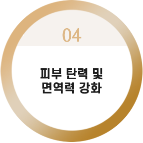 피부 탄력 및
면역력 강화




