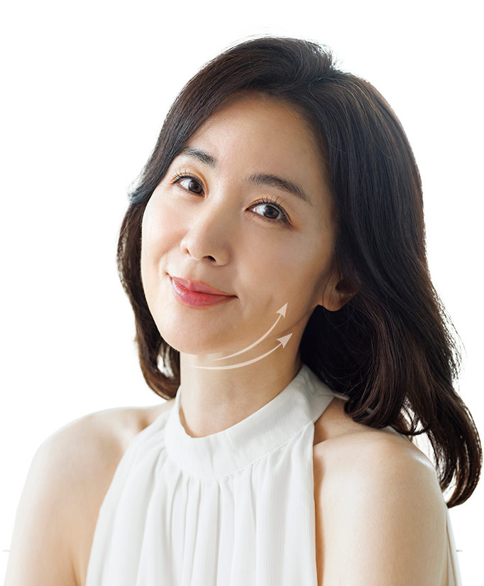 실 리프팅 모델