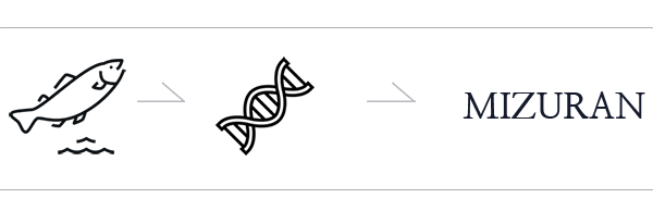 POLY NUCLETIDE