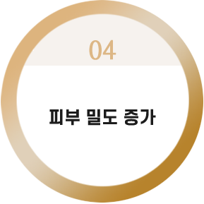 피부 밀도 증가


