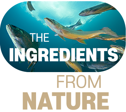 리쥬란힐러의 핵심 성분인 PN