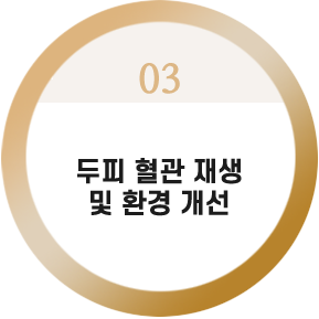 두피 혈관 재생 및 환경 개선

