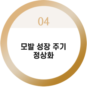 모발 성장 주기 정상화
모발 성장 주기 정상화


